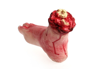 Illustration for article titled Bloody Stump Wrist Rests